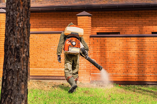 Trusted Fumigation Services service in Indian Lake, TX - Nex Pest Control
